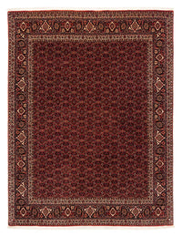Perser Rug - Bidjar - 256 x 202 cm - dark red
