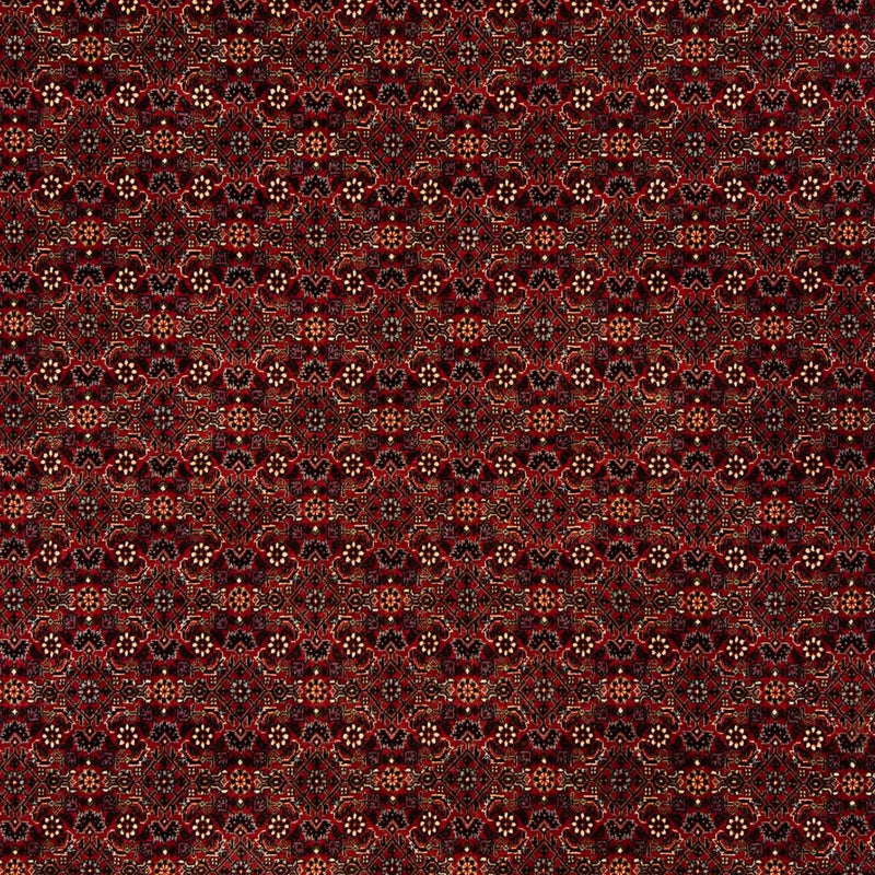 Perser Rug - Bidjar - 256 x 202 cm - dark red