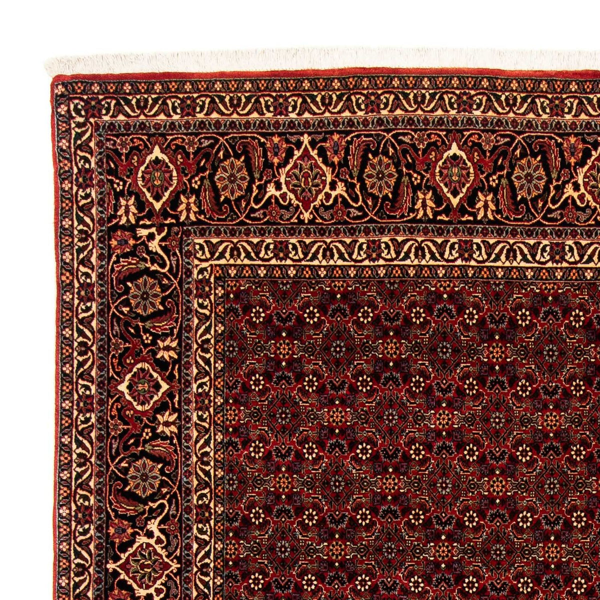 Perser Rug - Bidjar - 256 x 202 cm - dark red