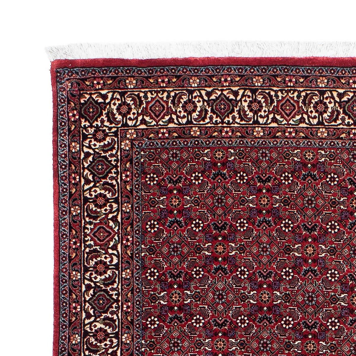 Bidjar Rug 143x221cm - Persian Rugs