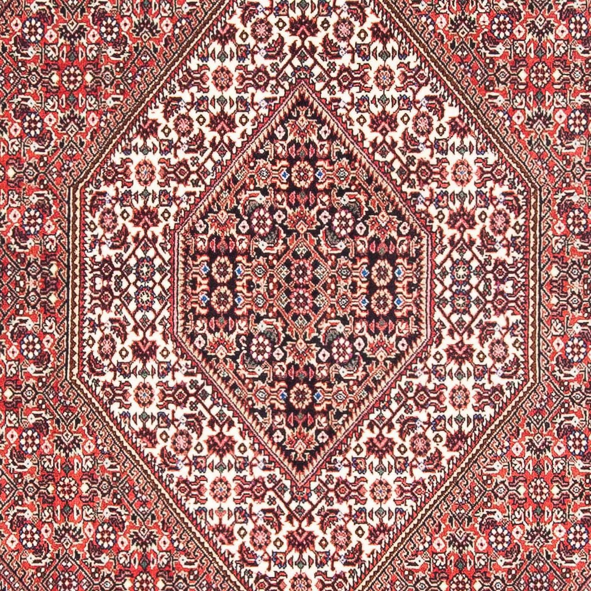 Perser Rug - Bidjar - 182 x 111 cm - red