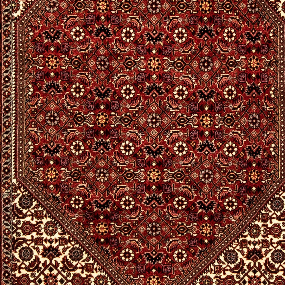 Runner Perser Rug - Bidjar - 303 x 84 cm - multicolored