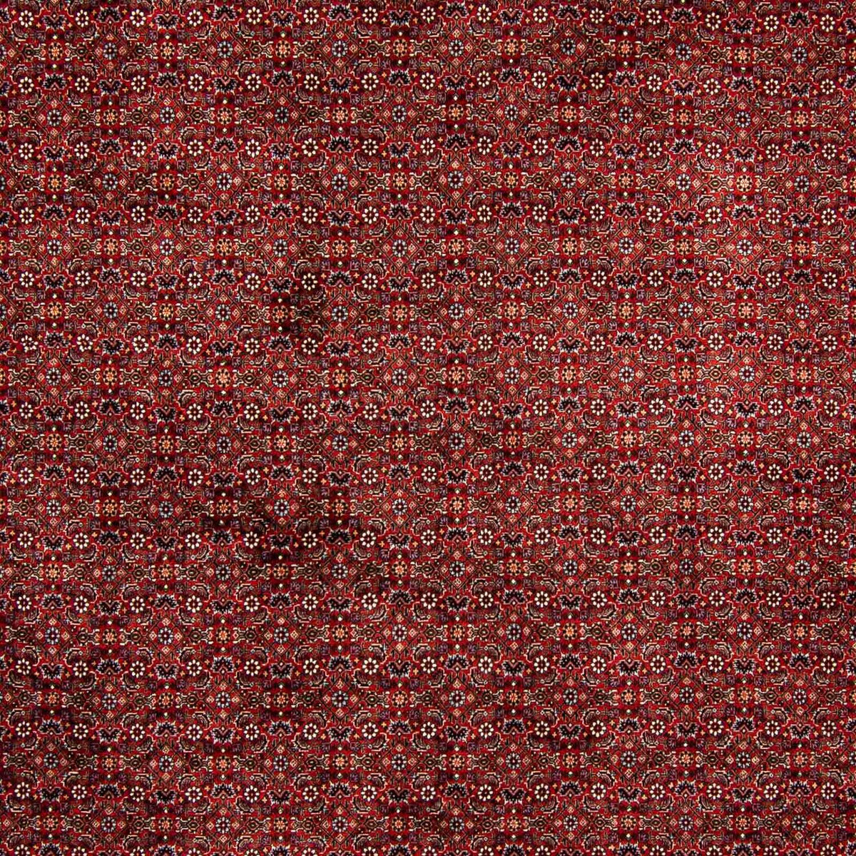 Perser Rug - Bidjar - 392 x 299 cm - dark red