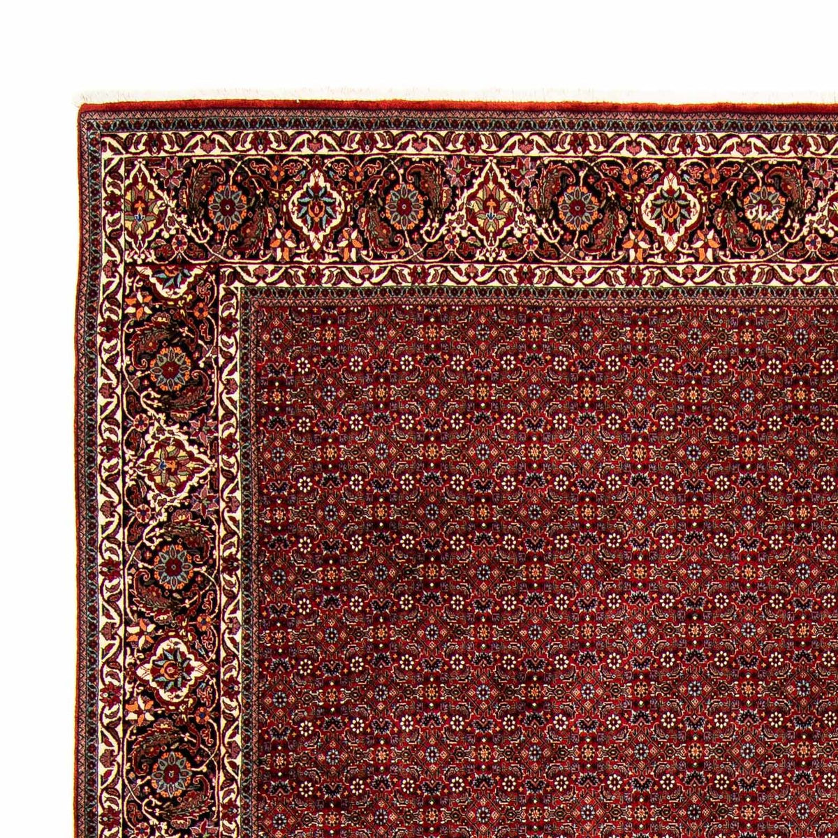 Perser Rug - Bidjar - 392 x 299 cm - dark red