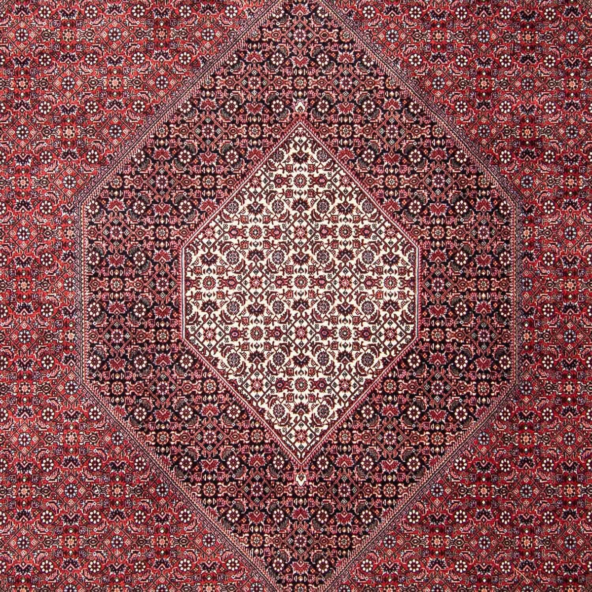 Perser Rug - Bidjar - 302 x 253 cm - red