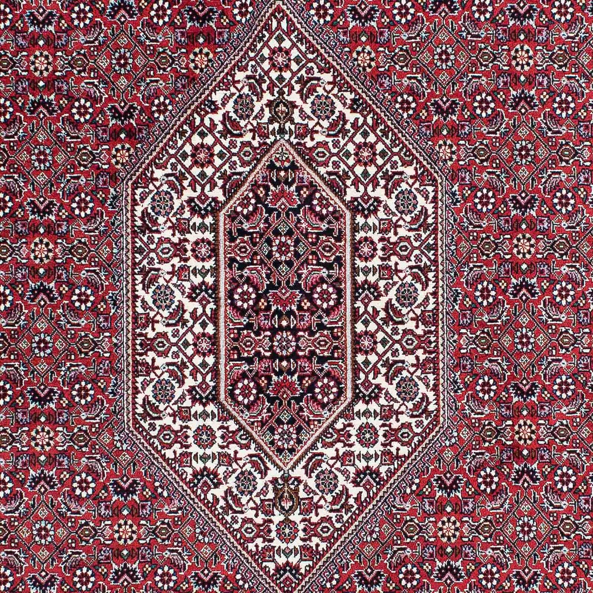 Perser Rug - Bidjar - 210 x 131 cm - light red