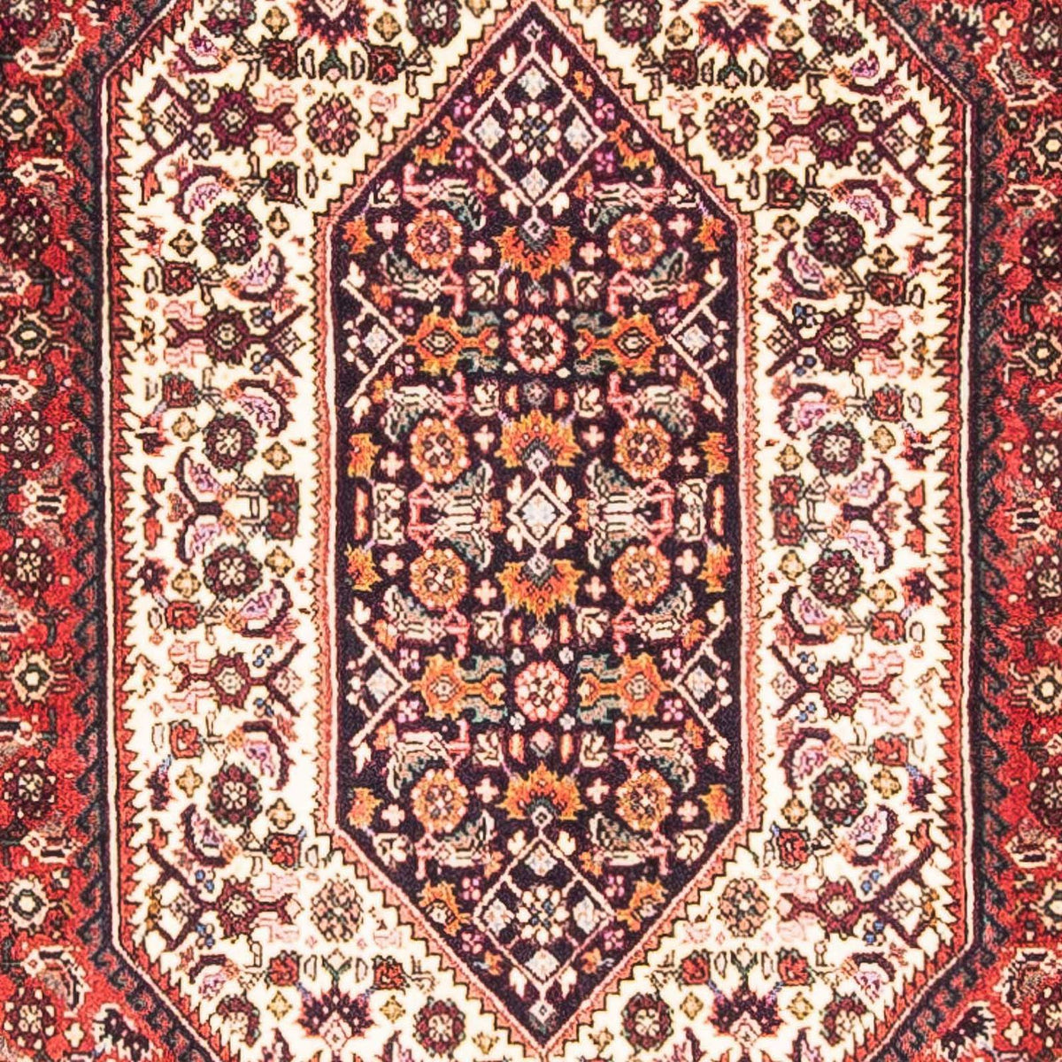 Perser Rug - Bidjar - 153 x 90 cm - red