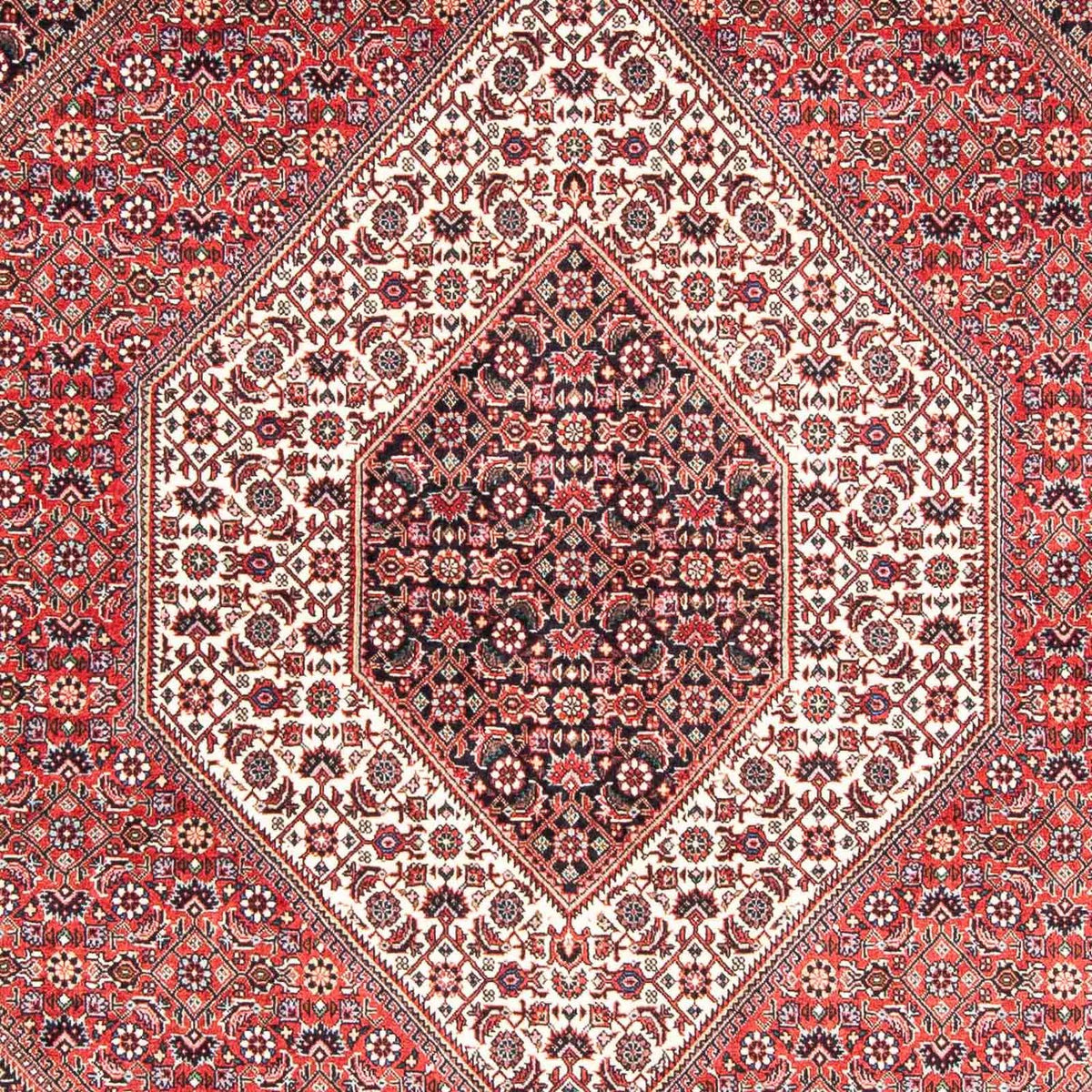 Perser Rug - Bidjar - 233 x 168 cm - light red