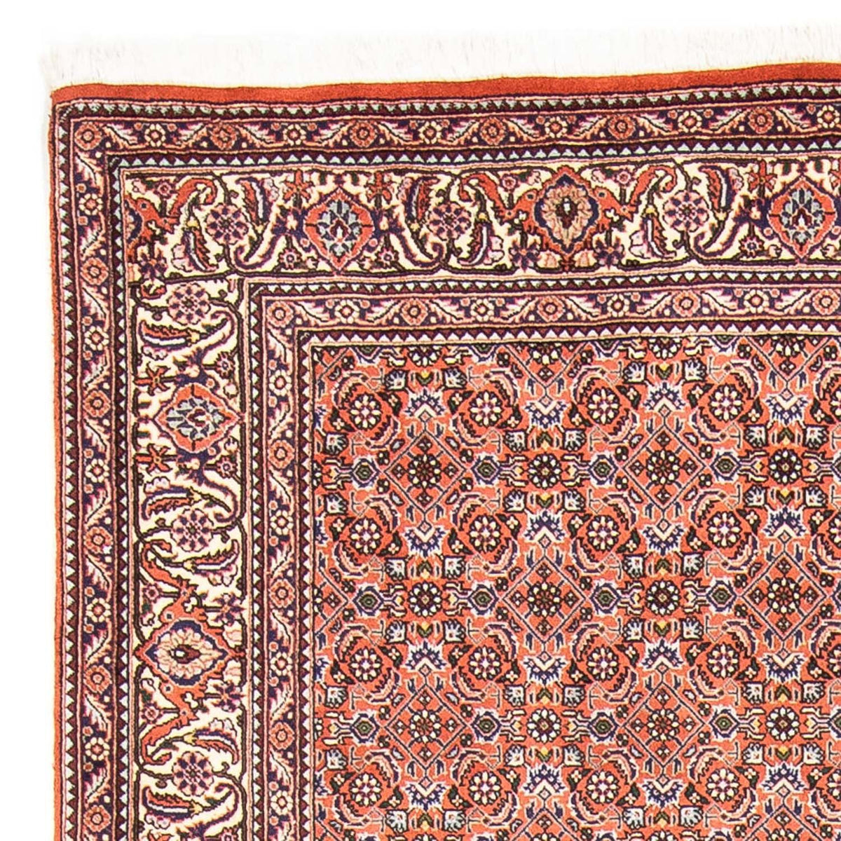 Perser Rug - Bidjar - 239 x 168 cm - light red