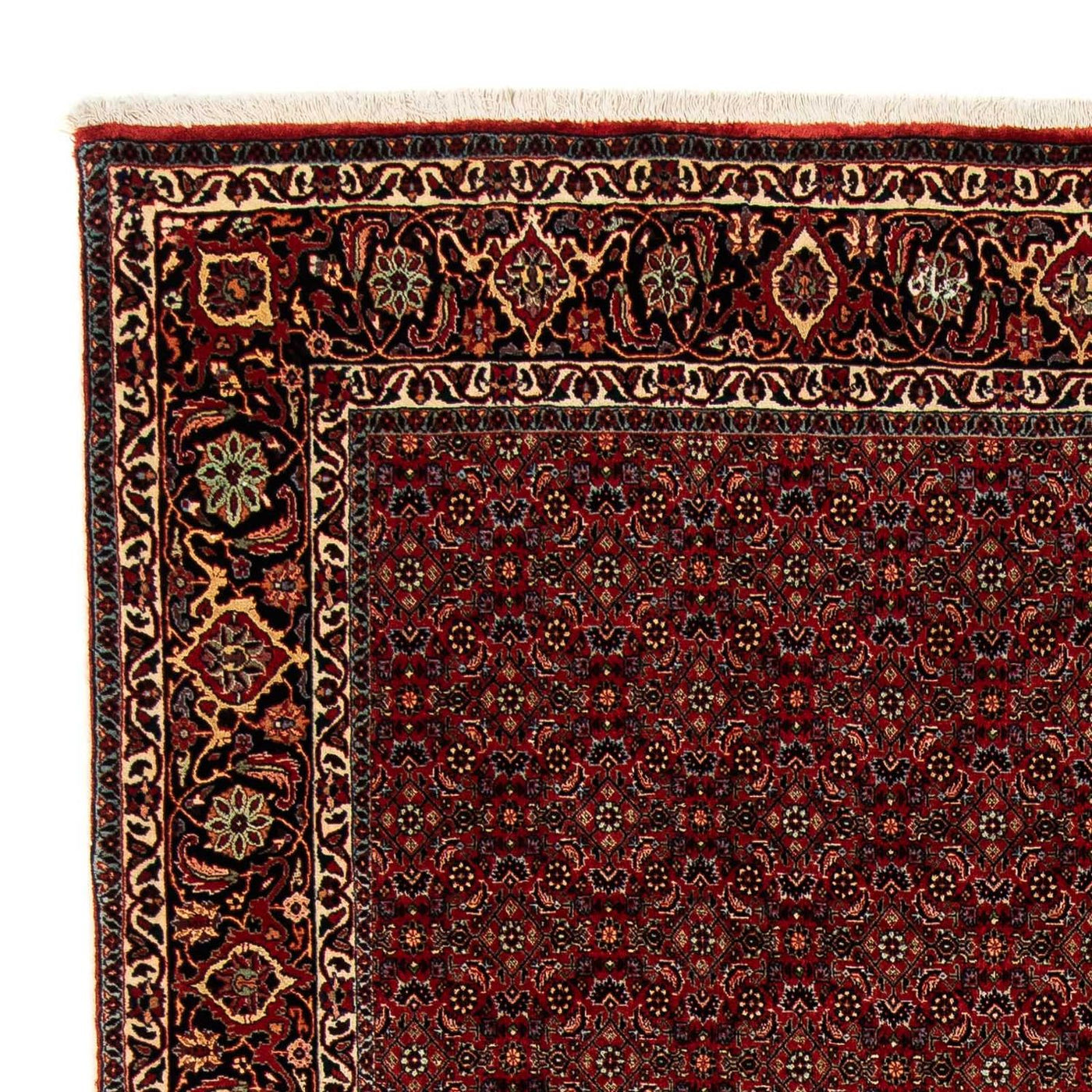 Bidjar Rug 246x200cm - Persian Rugs