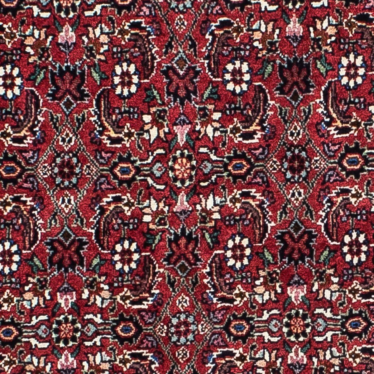 Perser Rug - Bidjar - 208 x 134 cm - dark red