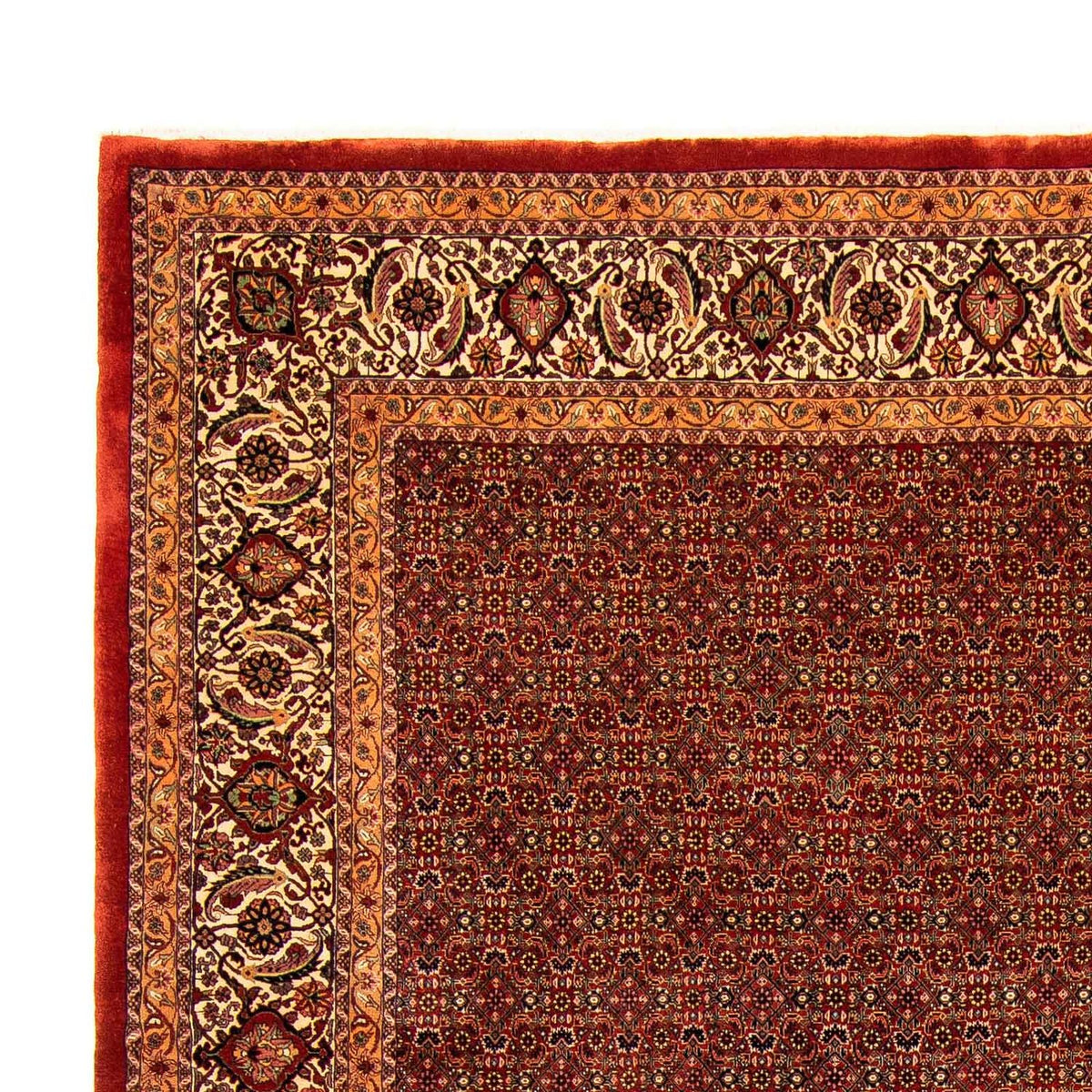 Bidjar Rug 300x384cm - Persian Rugs