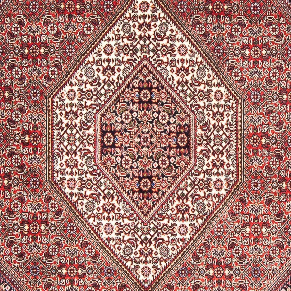 Perser Rug - Bidjar - 176 x 110 cm - light red