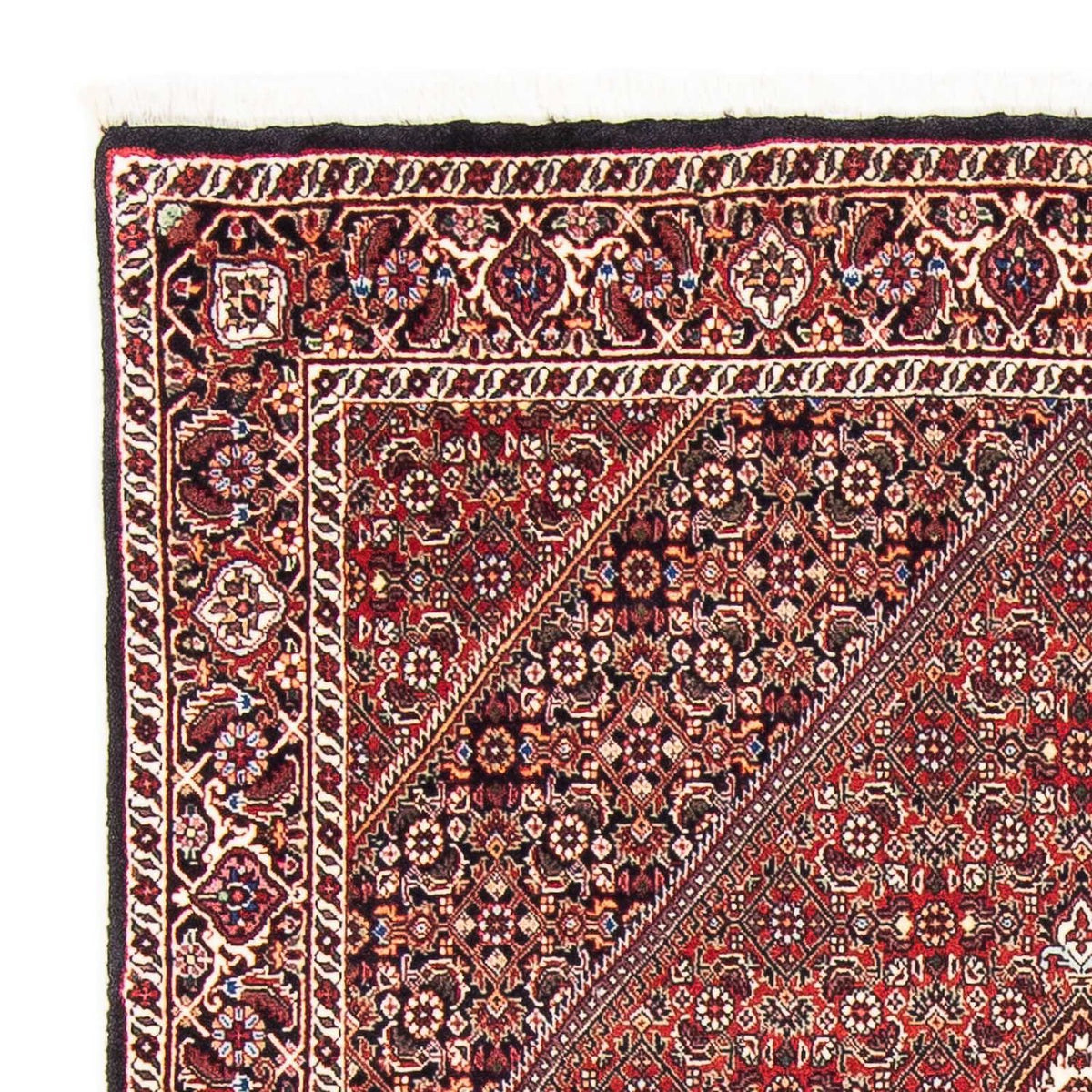 Bidjar Rug 110x176cm - Persian Rugs