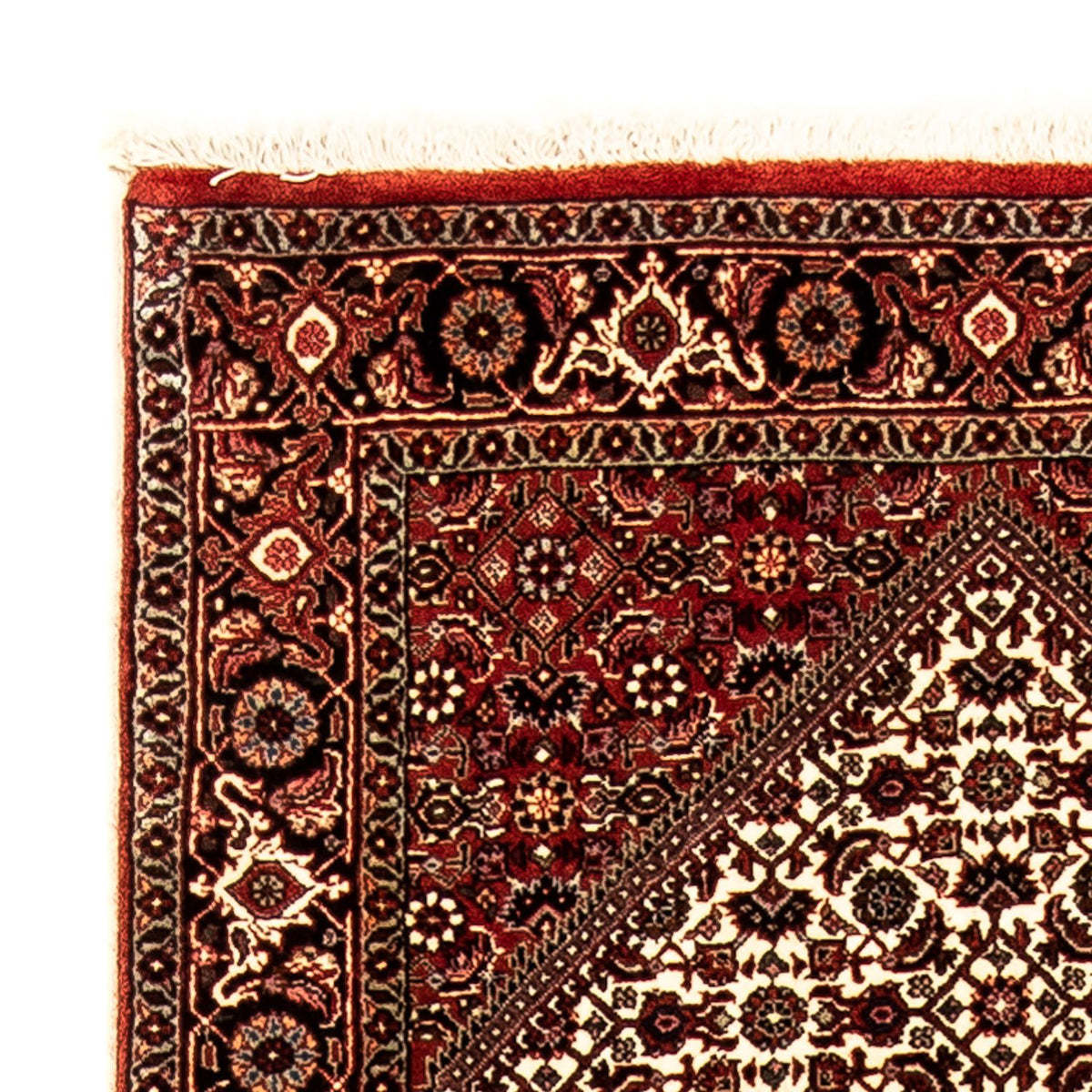 Runner Perser Rug - Bidjar - 284 x 80 cm - multicolored