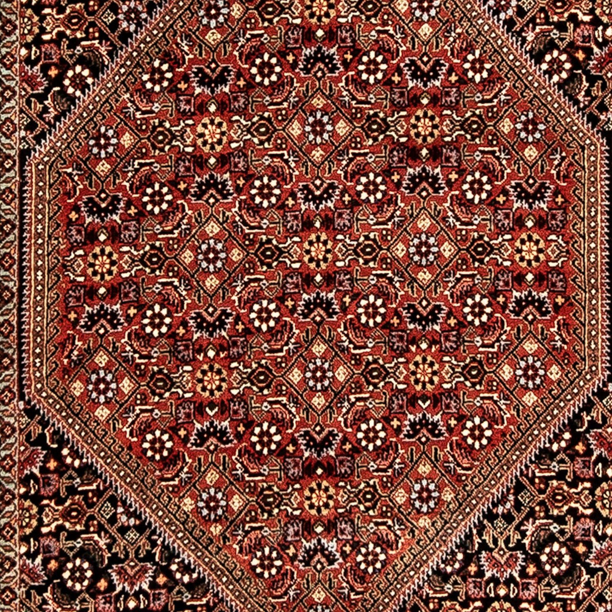Runner Perser Rug - Bidjar - 292 x 83 cm - multicolored
