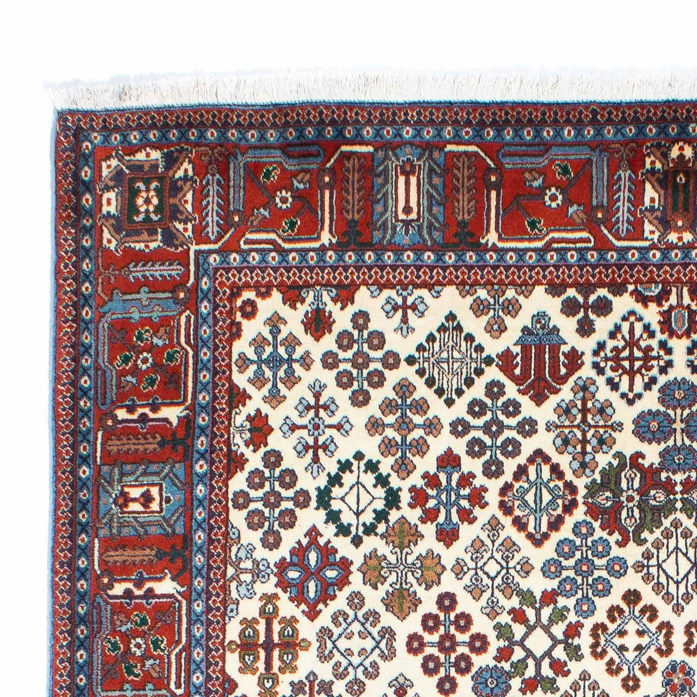 Kashkuli Rug 241x159cm - Persian Rugs