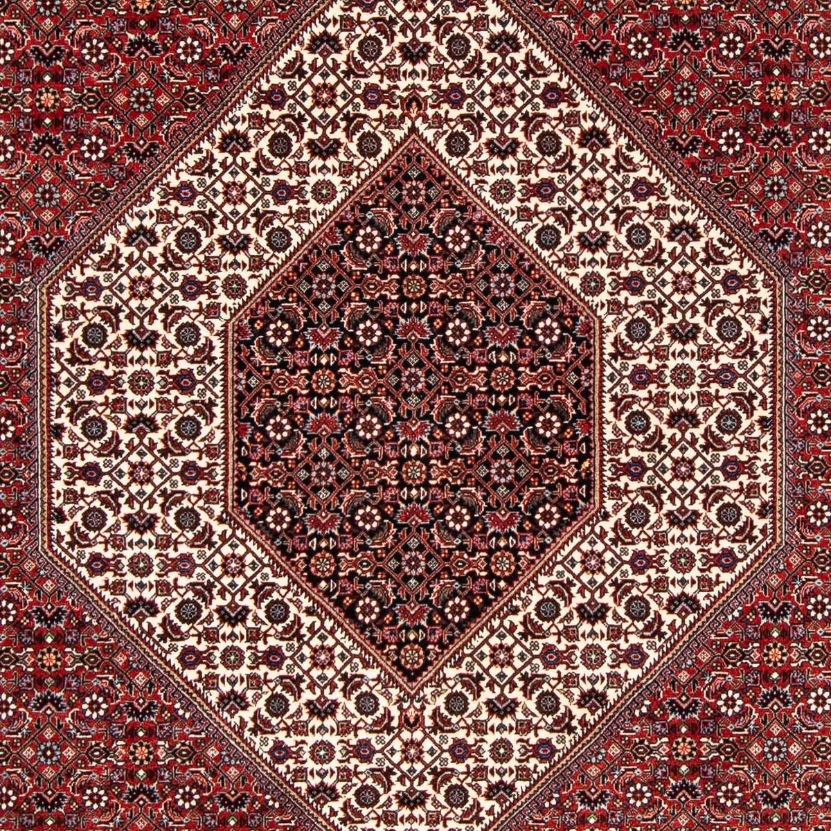 Perser Rug - Bidjar - 249 x 174 cm - dark red