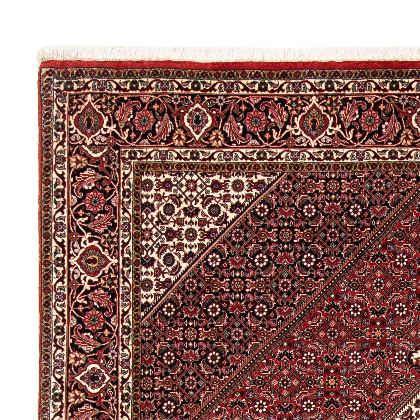 Bidjar Rug 249x174cm - Persian Rugs