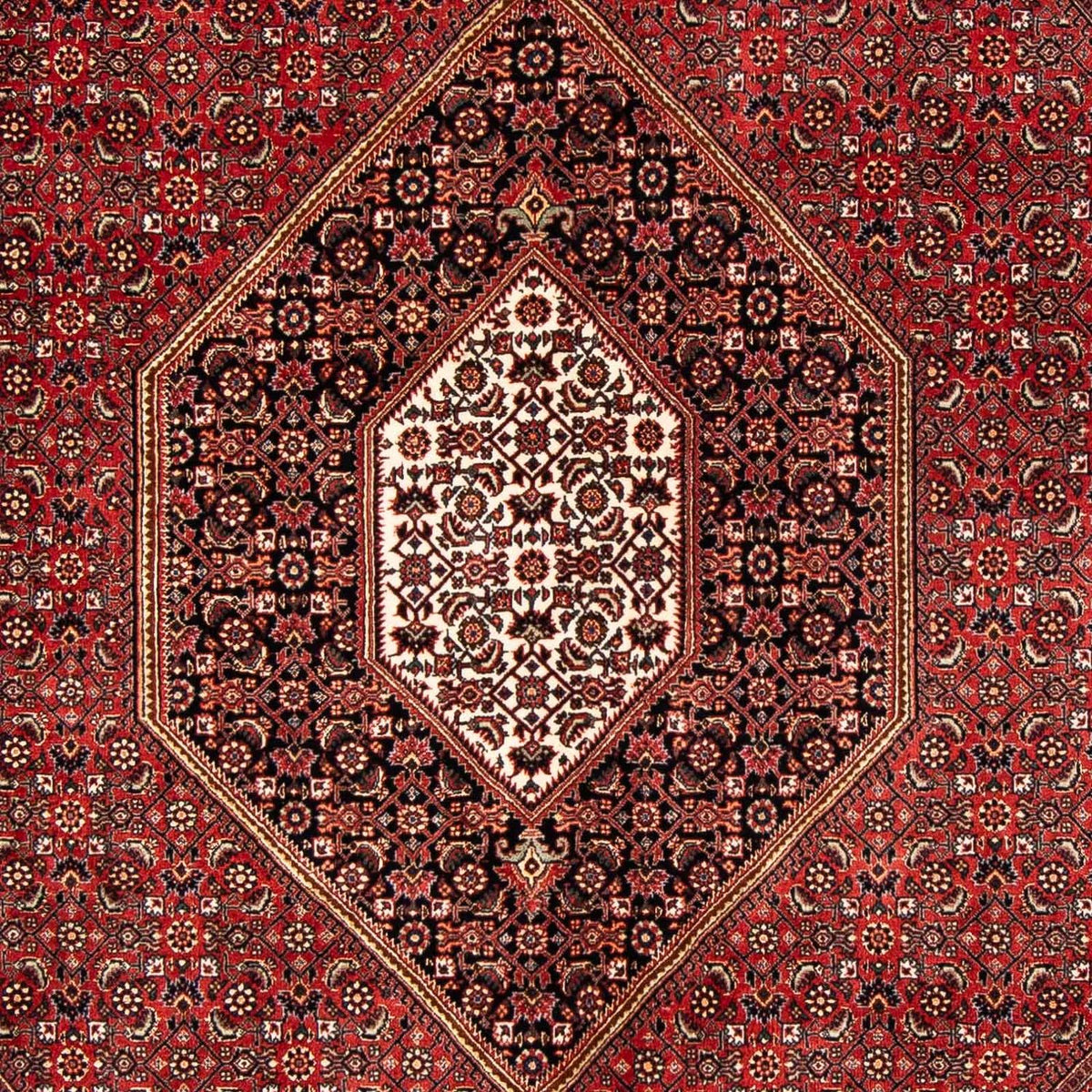 Perser Rug - Bidjar - 240 x 171 cm - dark red