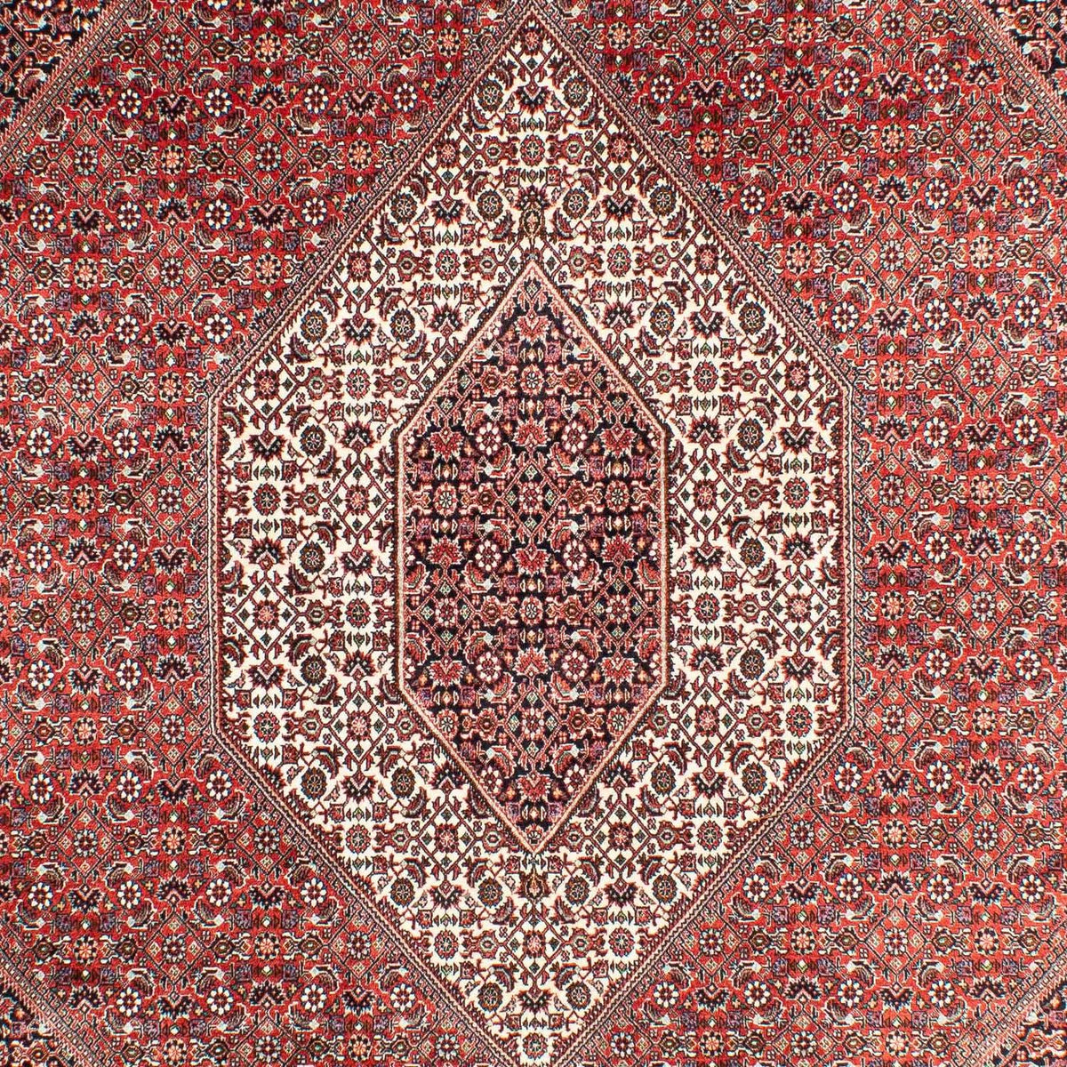 Perser Rug - Bidjar - 303 x 203 cm - light red
