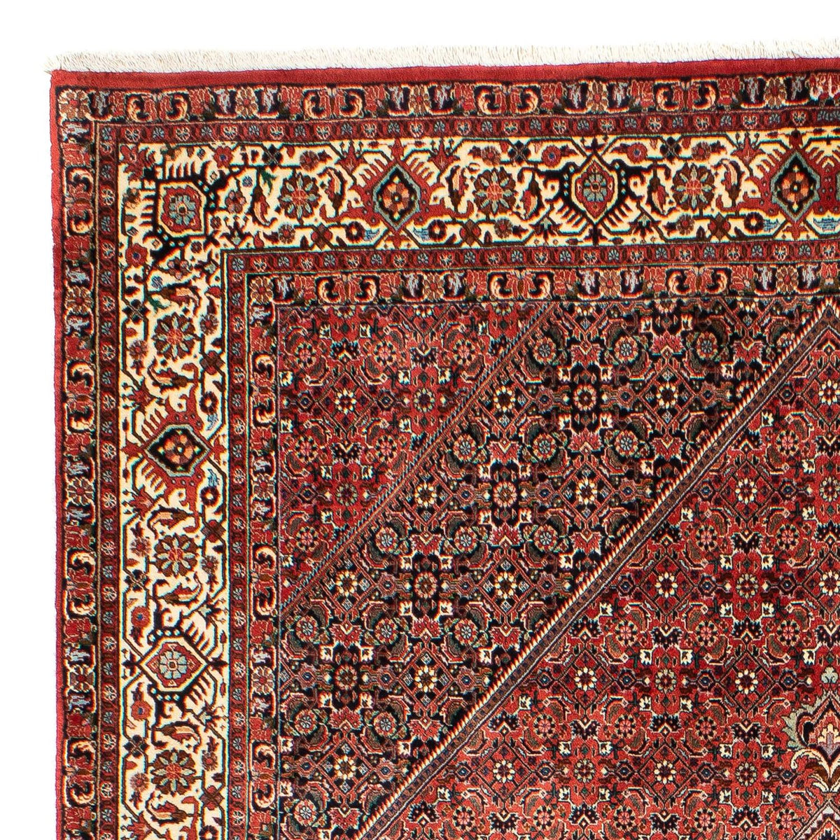 Perser Rug - Bidjar - 300 x 203 cm - light red