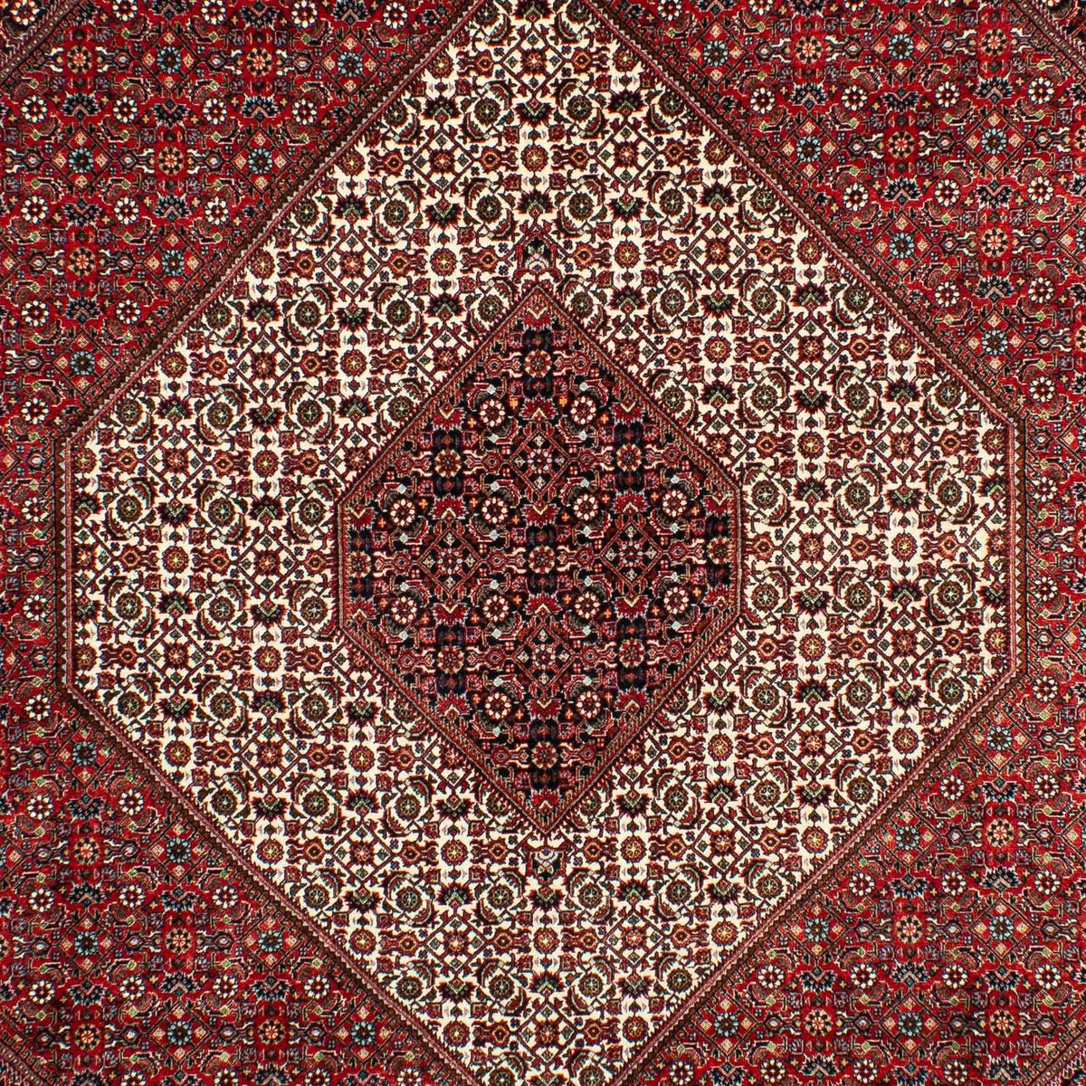 Perser Rug - Bidjar - 300 x 203 cm - dark red