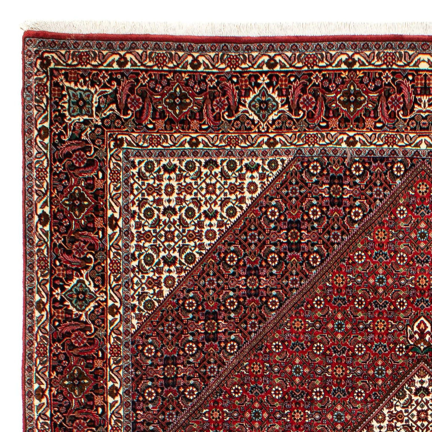 Bidjar Rug 300x203cm - Persian Rugs