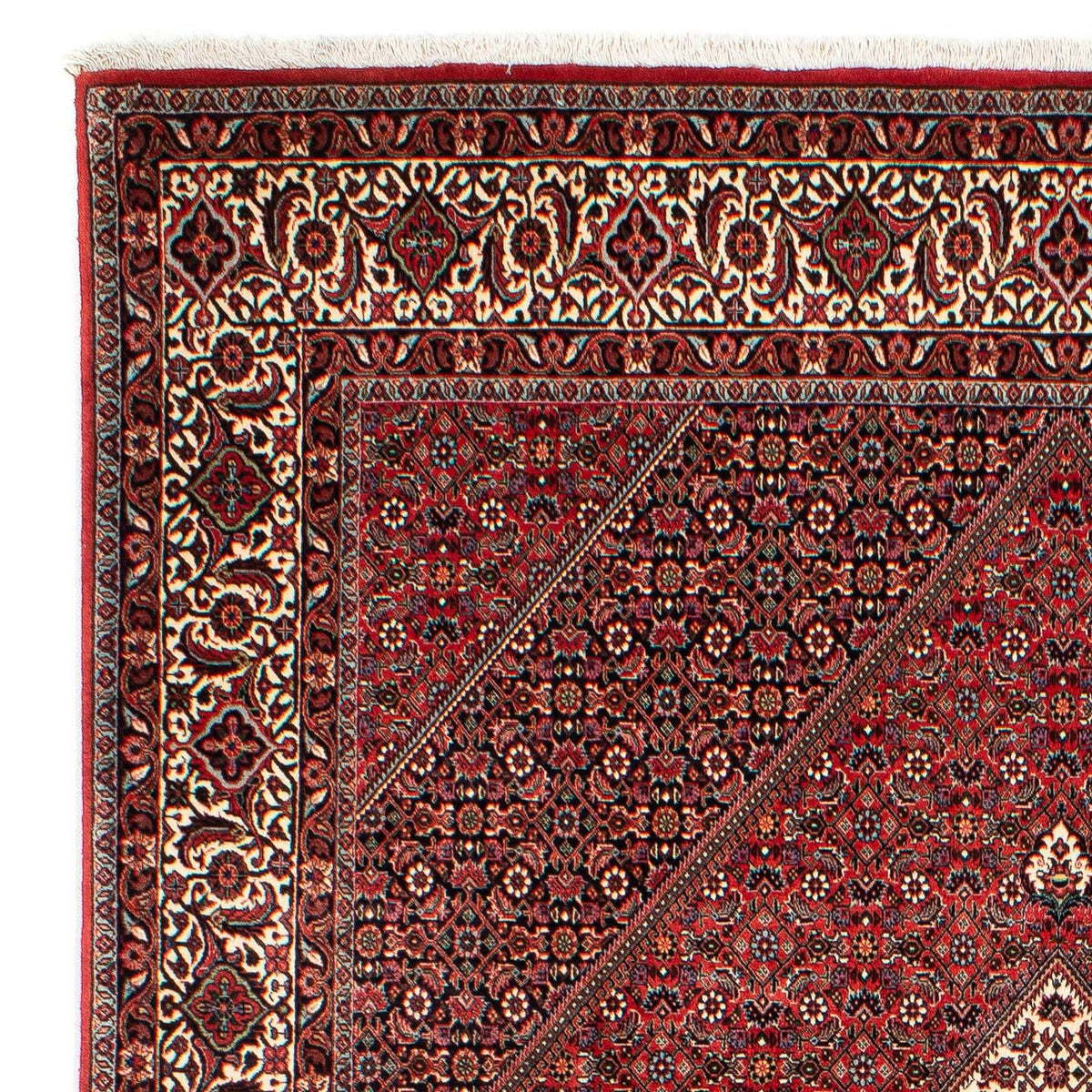 Perser Rug - Bidjar - 305 x 203 cm - dark red