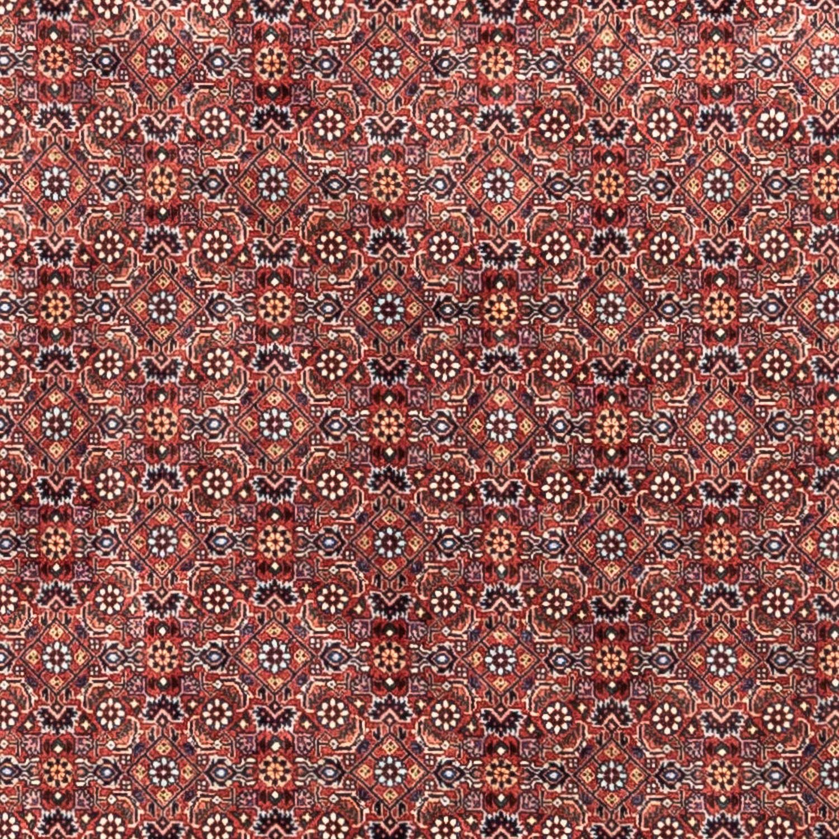 Perser Rug - Bidjar - 306 x 204 cm - red