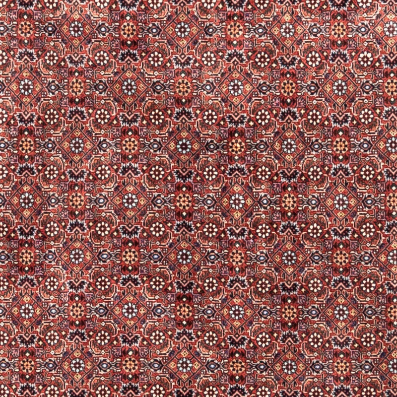 Perser Rug - Bidjar - 306 x 204 cm - red