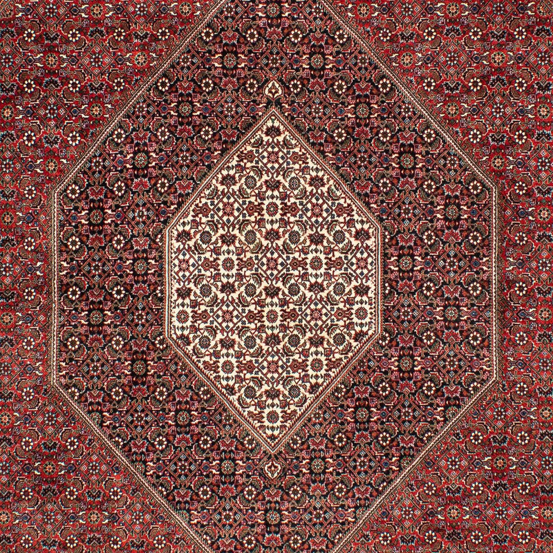 Perser Rug - Bidjar - 309 x 208 cm - dark red
