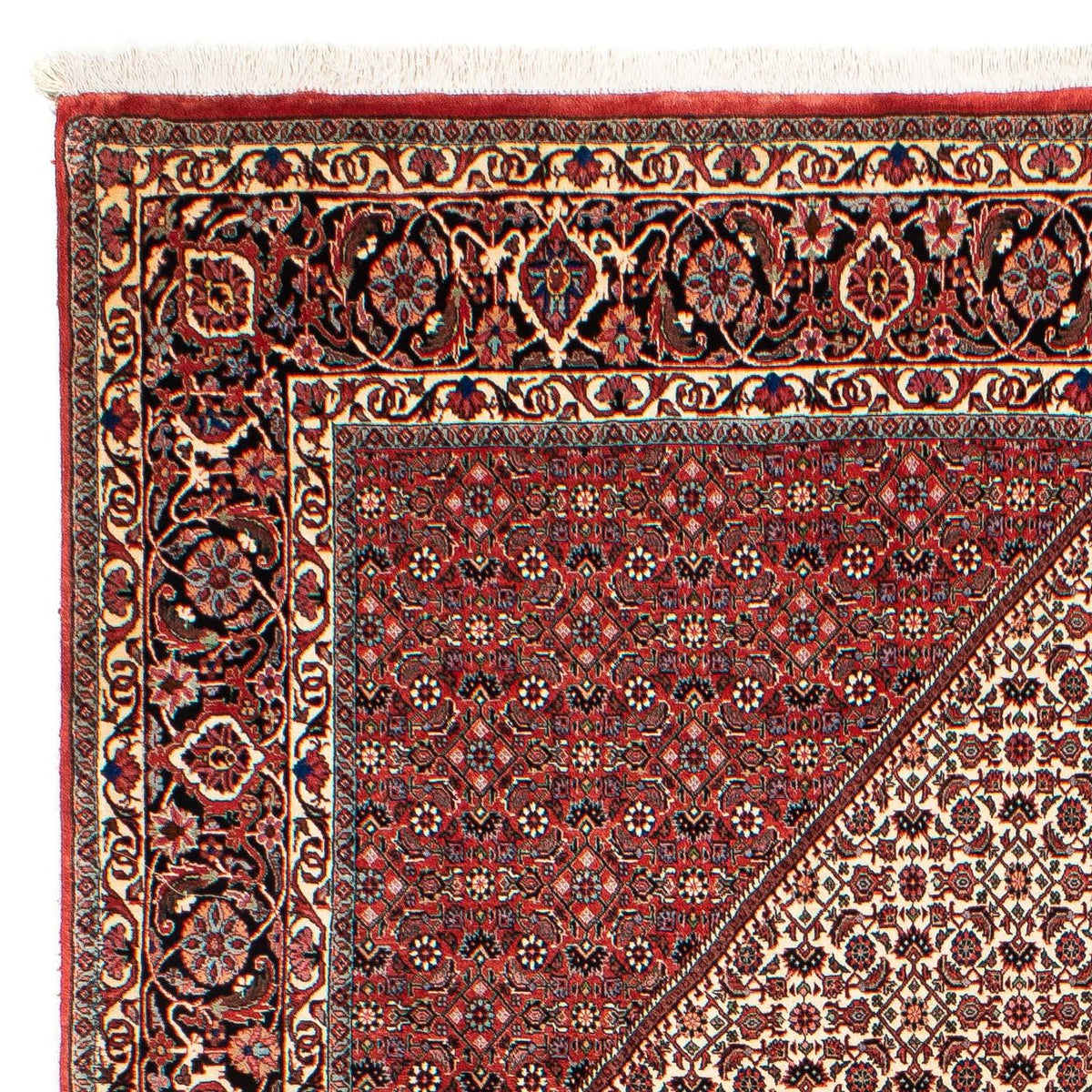 Perser Rug - Bidjar - 289 x 204 cm - dark red