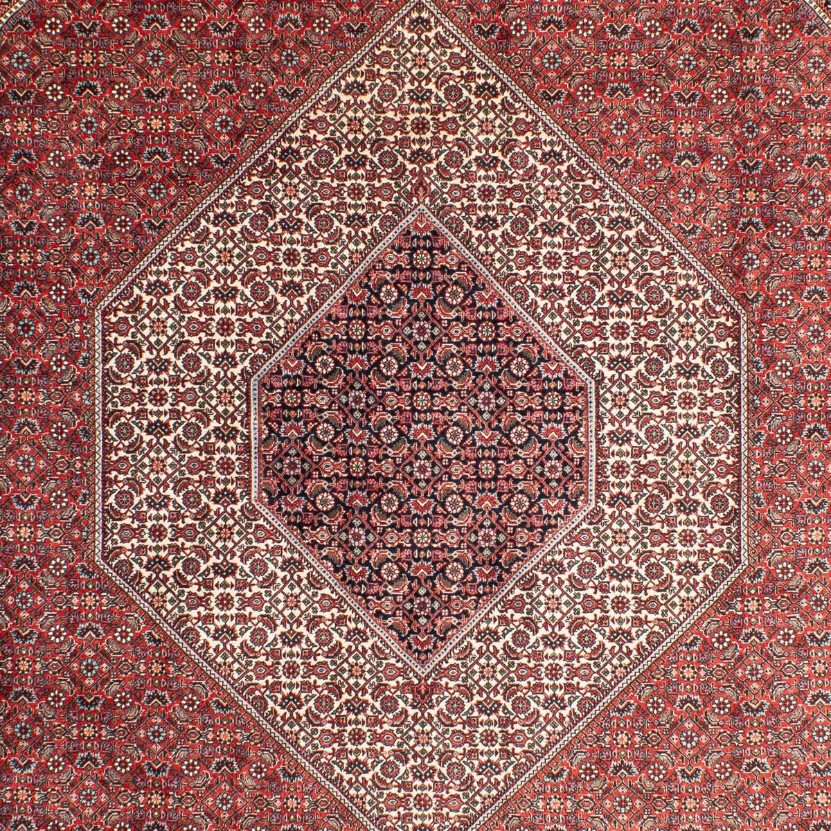 Perser Rug - Bidjar - 311 x 205 cm - light red