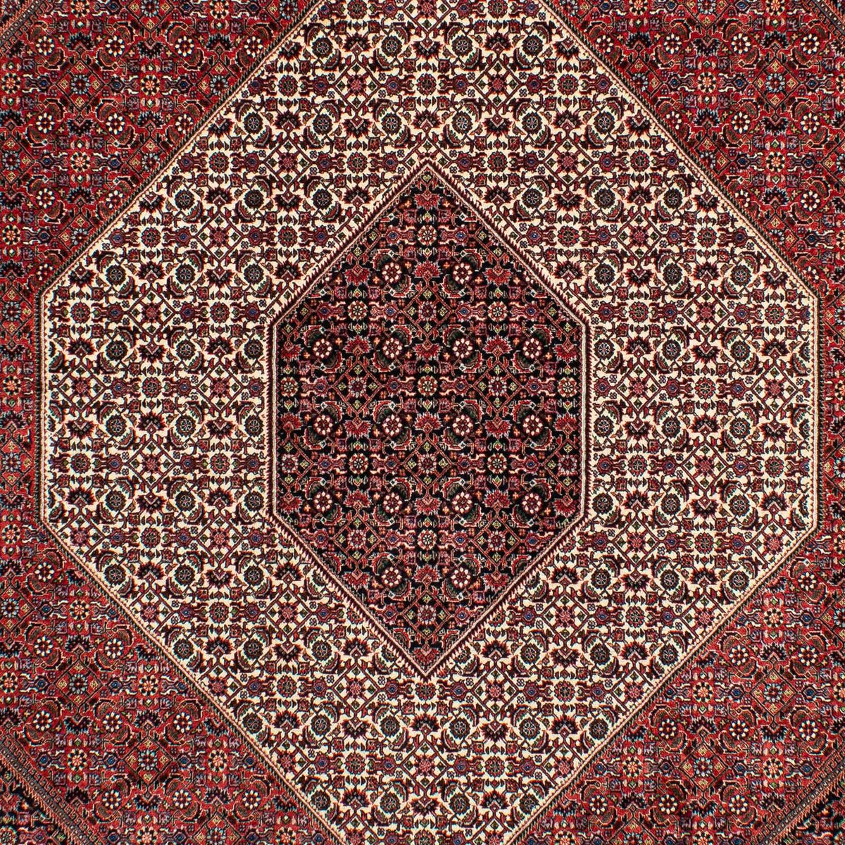 Perser Rug - Bidjar - 300 x 206 cm - dark red