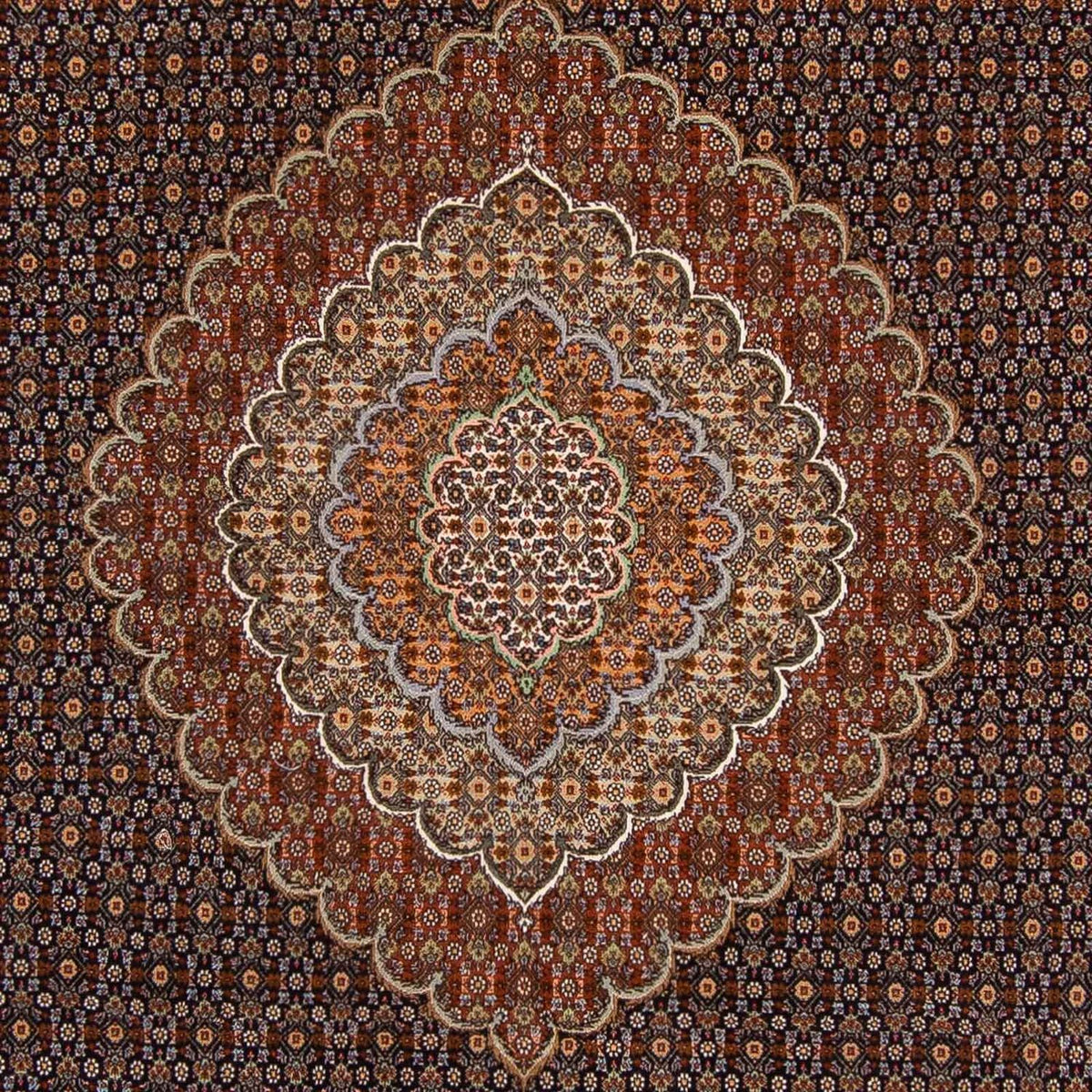 Perser Rug - Tabriz - 360 x 253 cm - dark brown