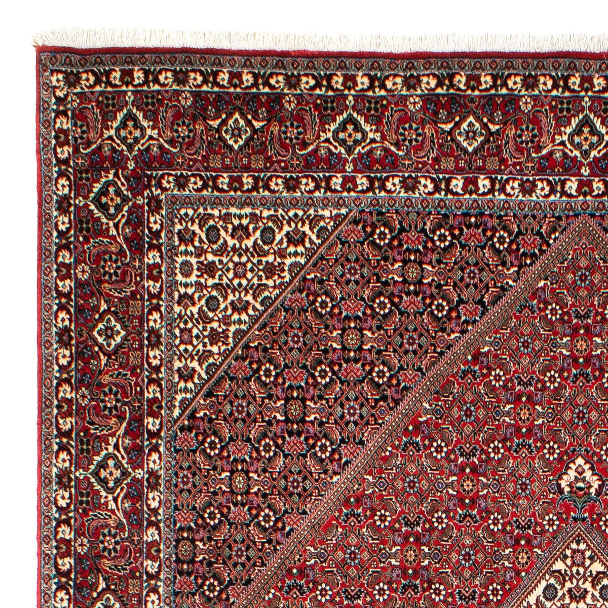 Bidjar Rug 203x300cm - Persian Rugs