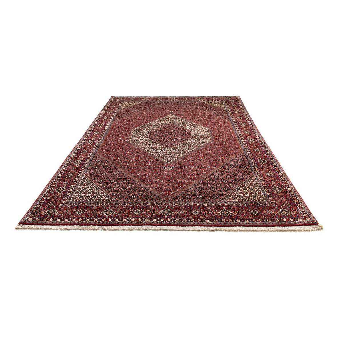 Perser Rug - Bidjar - 300 x 203 cm - light red
