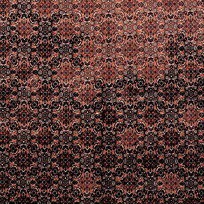 Perser Rug - Bidjar - 250 x 173 cm - light red