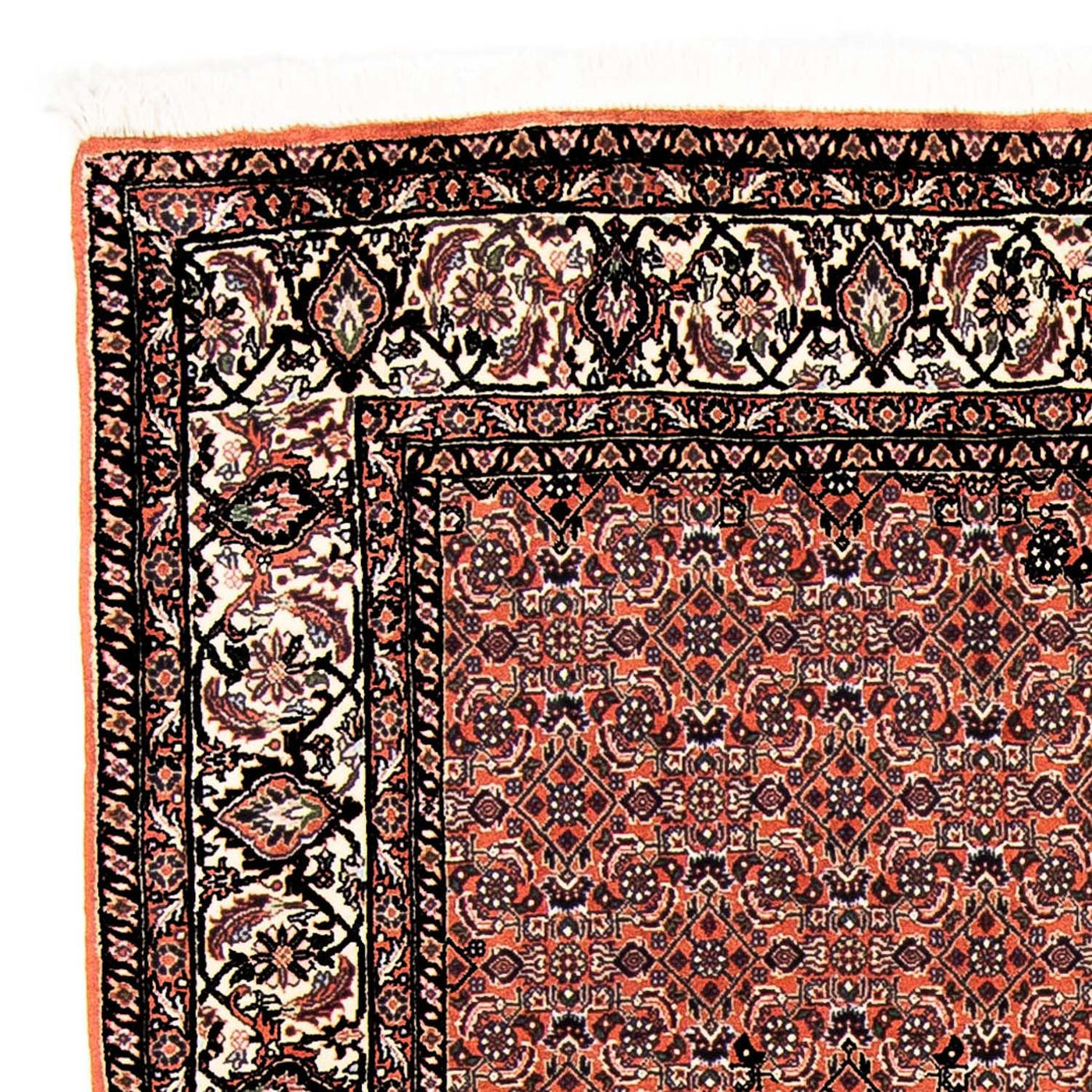 Bidjar Rug 250x173cm - Persian Rugs