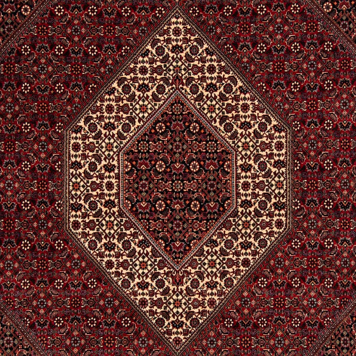 Perser Rug - Bidjar - 247 x 202 cm - dark red