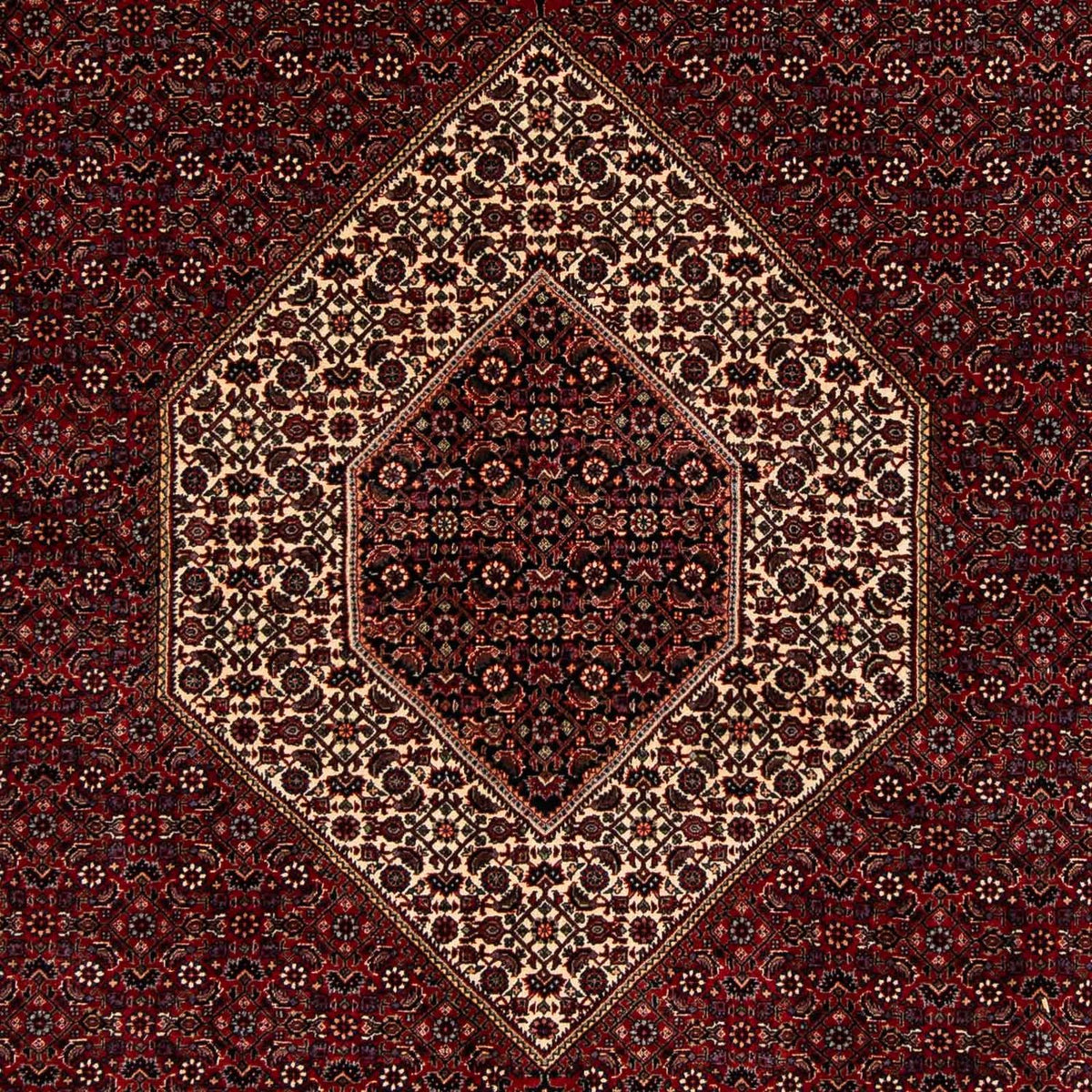 Perser Rug - Bidjar - 257 x 204 cm - dark red