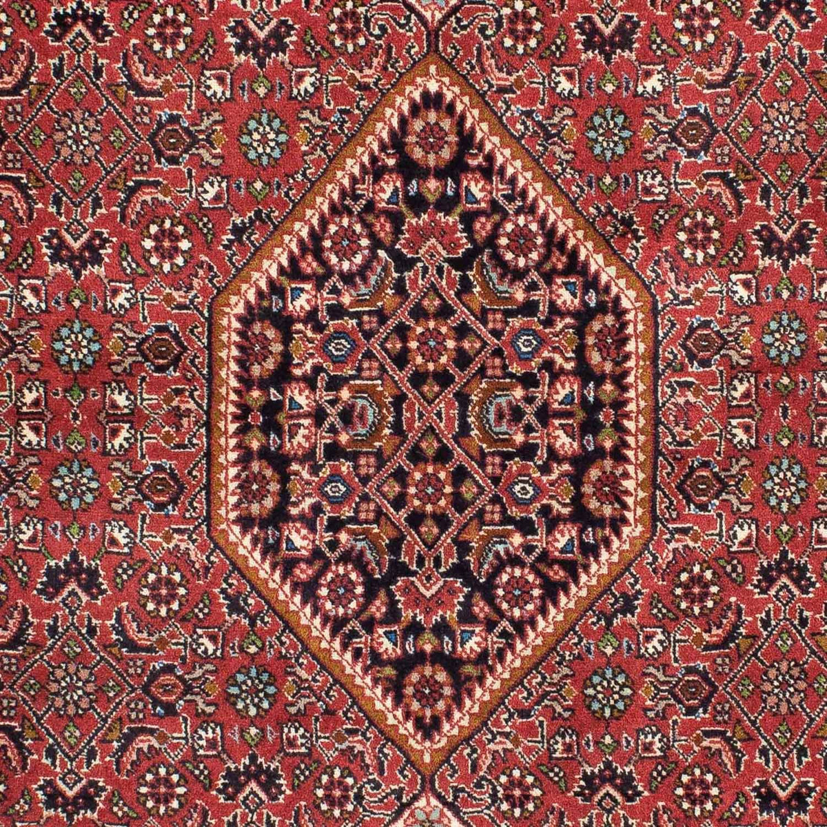 Perser Rug - Bidjar - 224 x 141 cm - light red