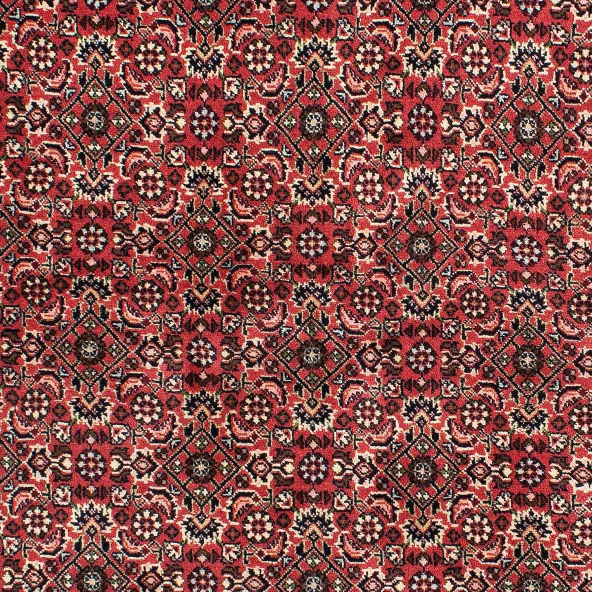 Perser Rug - Bidjar - 208 x 139 cm - red