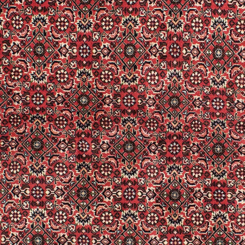 Perser Rug - Bidjar - 208 x 139 cm - red
