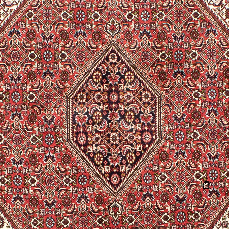 Perser Rug - Bidjar - 245 x 172 cm - light red