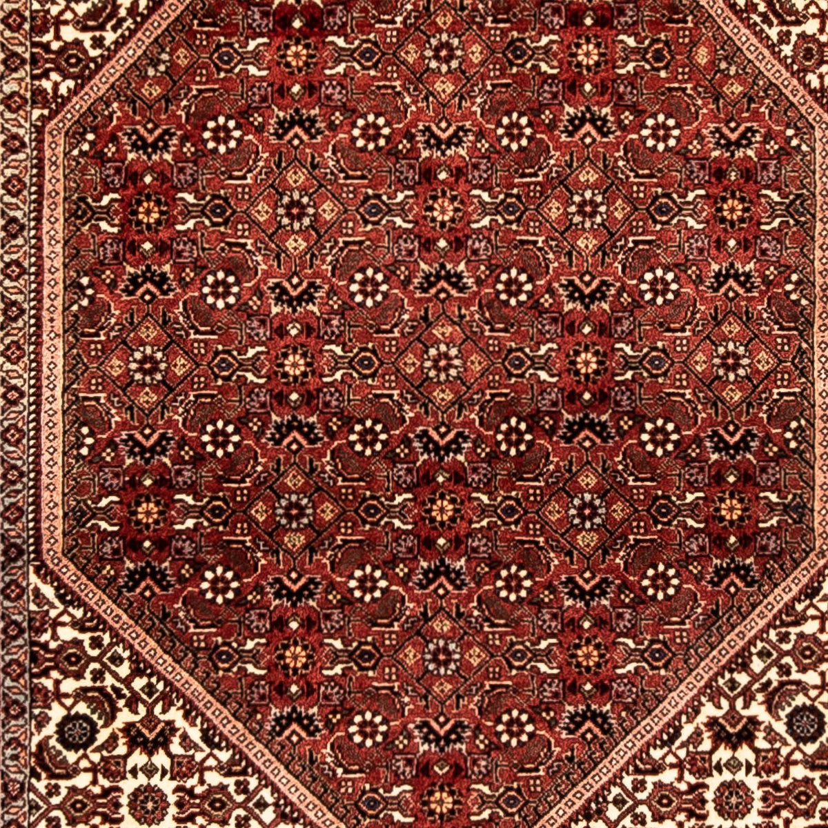 Runner Perser Rug - Bidjar - 292 x 84 cm - multicolored