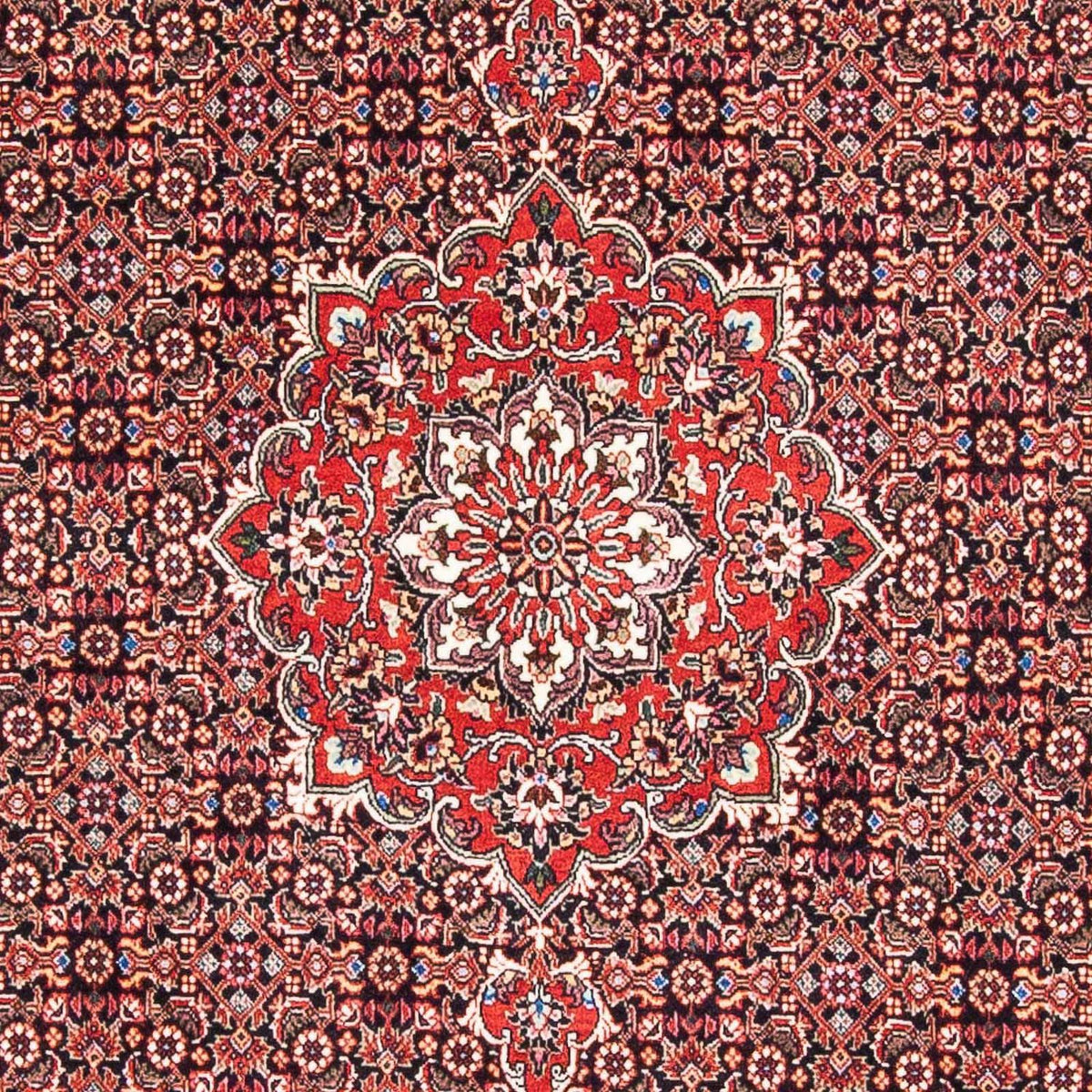 Perser Rug - Bidjar - 170 x 109 cm - red