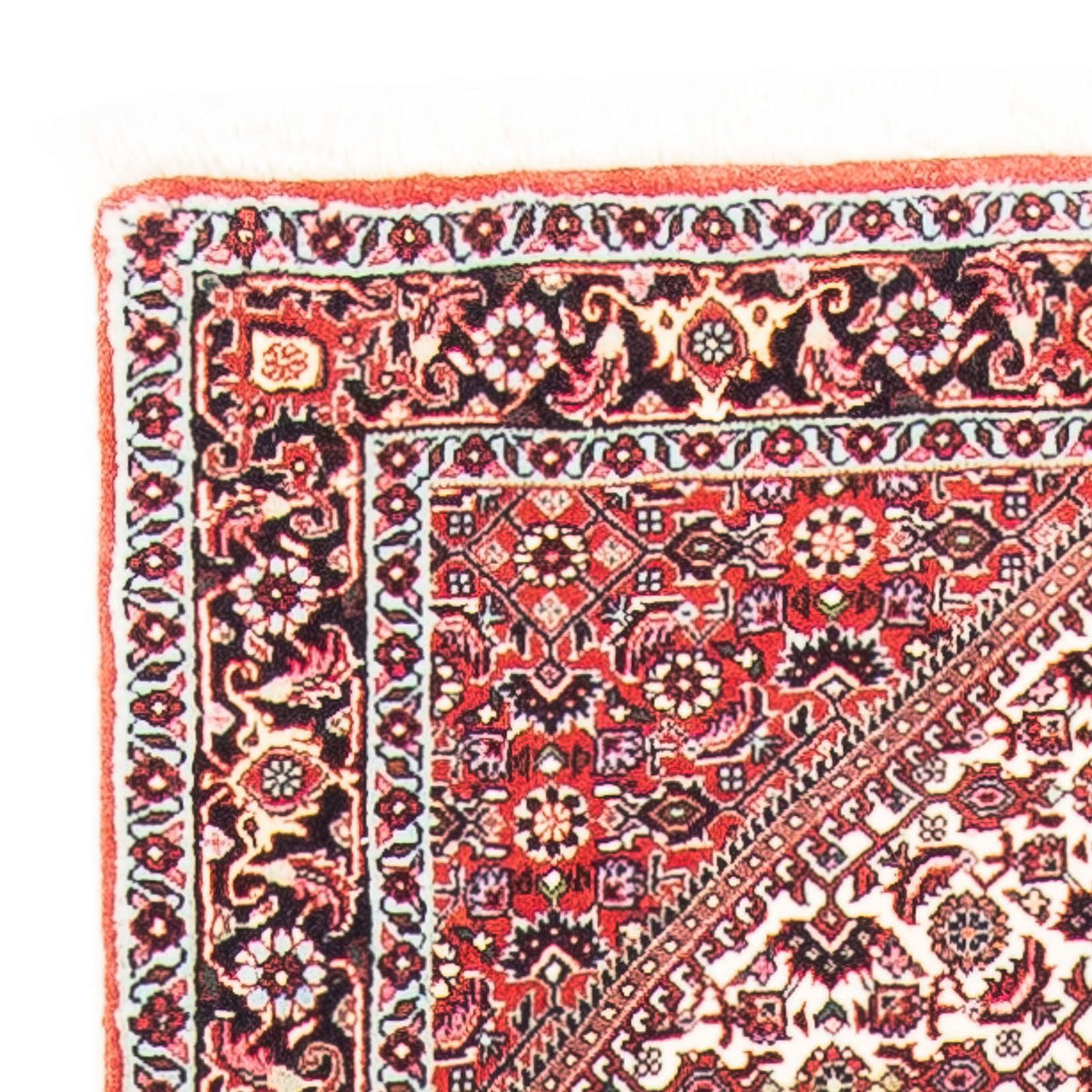 Bidjar Rug 152x75cm - Persian Rugs