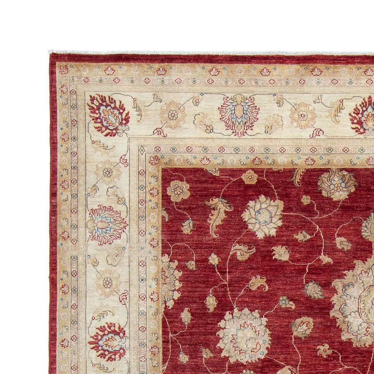 Ziegler Rug - 300 x 238 cm - red
